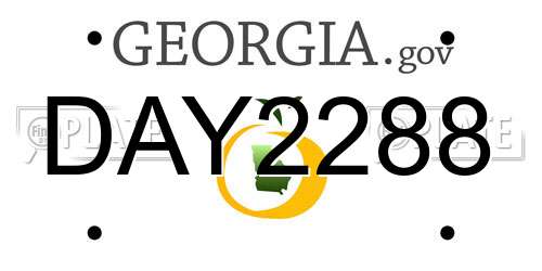 DAY2288 Georgia License Plate