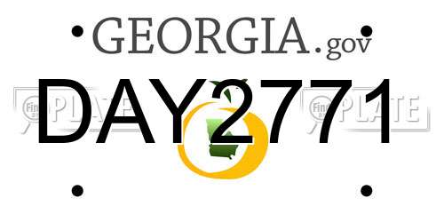 DAY2771 Georgia License Plate