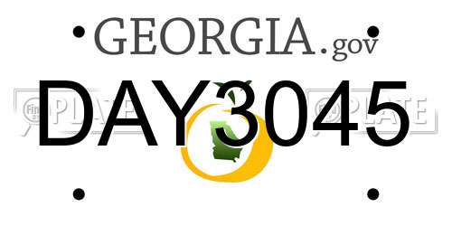 DAY3045 Georgia License Plate