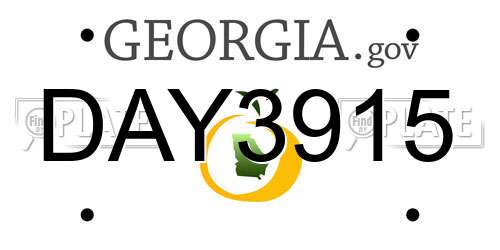 DAY3915 Georgia License Plate