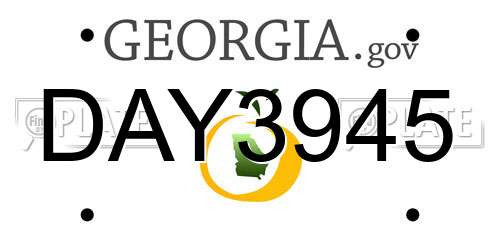 DAY3945 Georgia License Plate