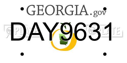 DAY9631 Georgia License Plate