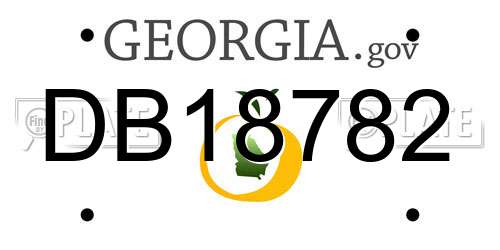DB18782 Georgia License Plate