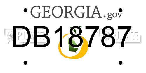 DB18787 Georgia License Plate