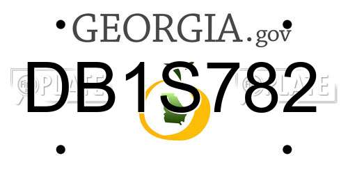 DB1S782 Georgia License Plate