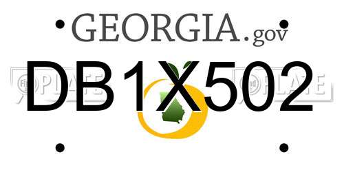 DB1X502 Georgia License Plate
