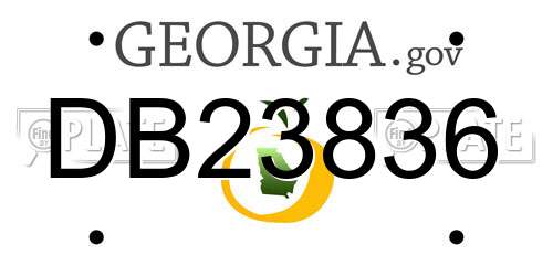 DB23836 Georgia License Plate