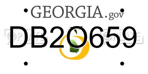 DB2O659 Georgia License Plate
