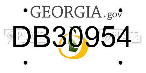 DB30954 Georgia License Plate