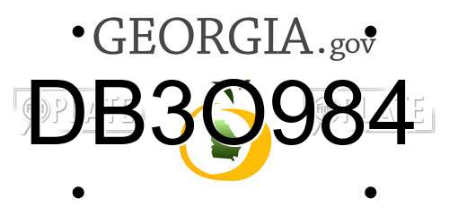 DB3O984 Georgia License Plate