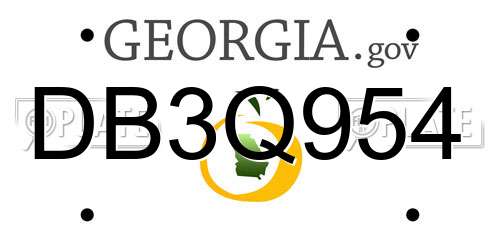 DB3Q954 Georgia License Plate