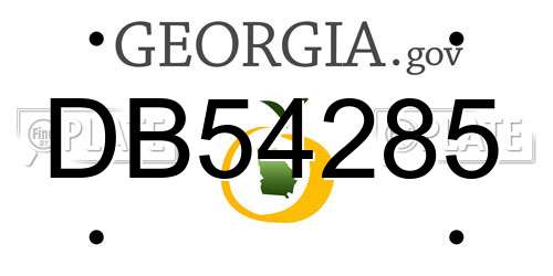 DB54285 Georgia License Plate