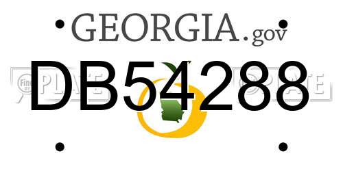 DB54288 Georgia License Plate