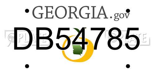 DB54785 Georgia License Plate