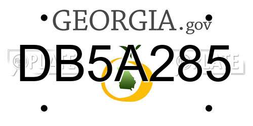 DB5A285 Georgia License Plate