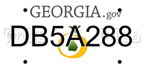 DB5A288 Georgia License Plate
