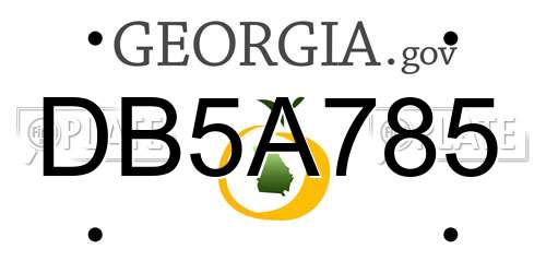 DB5A785 Georgia License Plate