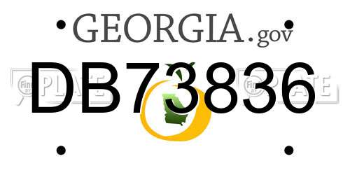 DB73836 Georgia License Plate