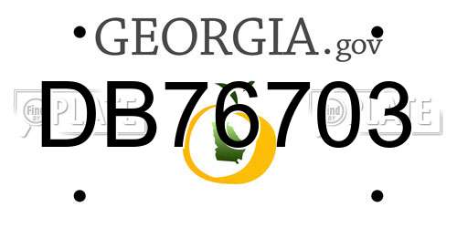 DB76703 Georgia License Plate