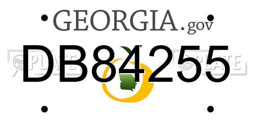 DB84255 Georgia License Plate