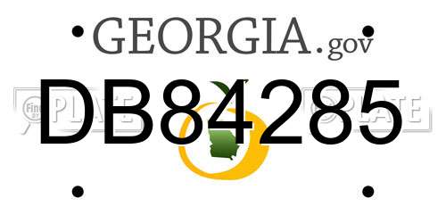 DB84285 Georgia License Plate