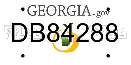 DB84288 Georgia License Plate