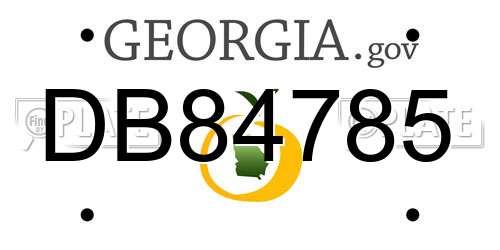 DB84785 Georgia License Plate