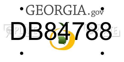 DB84788 Georgia License Plate