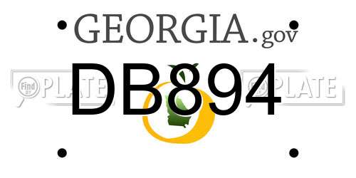 DB894 Georgia License Plate