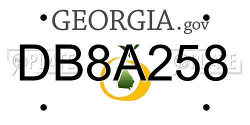 DB8A258 Georgia License Plate