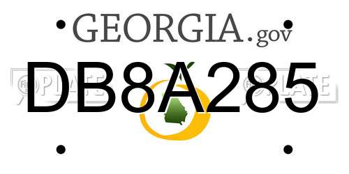 DB8A285 Georgia License Plate