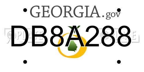 DB8A288 Georgia License Plate