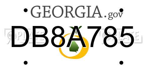 DB8A785 Georgia License Plate