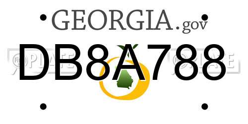 DB8A788 Georgia License Plate