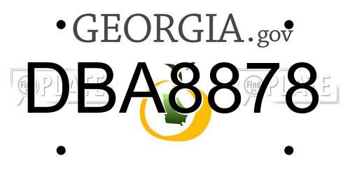 DBA8878 Georgia License Plate