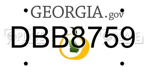 DBB8759 Georgia License Plate