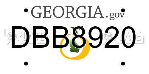 DBB8920 Georgia License Plate