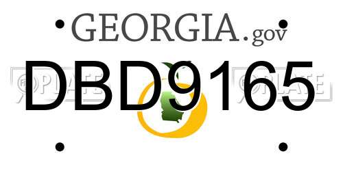 DBD9165 Georgia License Plate