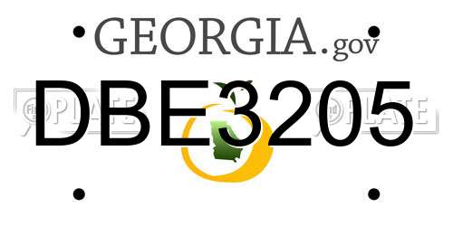 DBE3205 Georgia License Plate