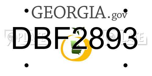 DBF2893 Georgia License Plate