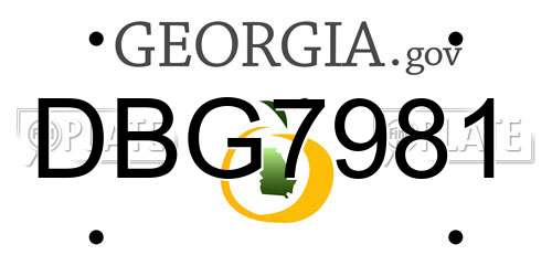 DBG7981 Georgia License Plate