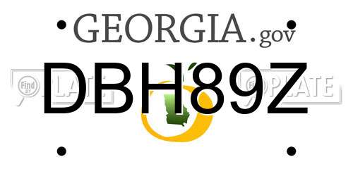 DBH89Z Georgia License Plate