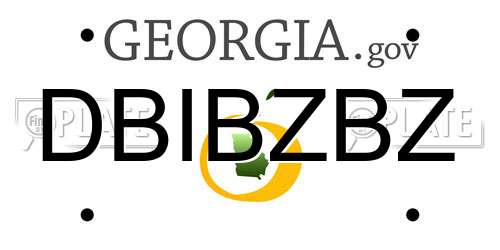 DBIBZBZ Georgia License Plate