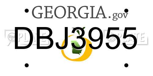 DBJ3955 Georgia License Plate
