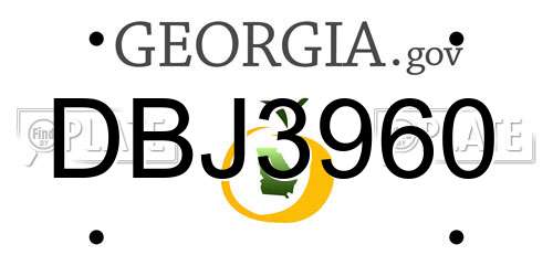 DBJ3960 Georgia License Plate