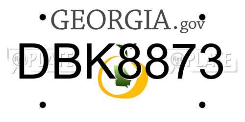 DBK8873 Georgia License Plate