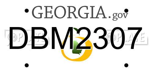 DBM2307 Georgia License Plate