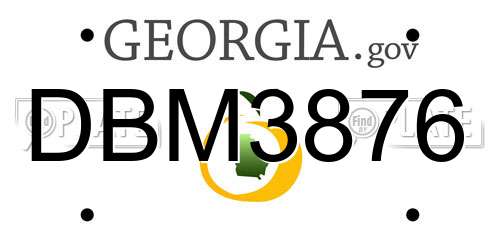 DBM3876 Georgia License Plate