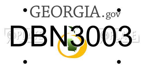 DBN3003 Georgia License Plate