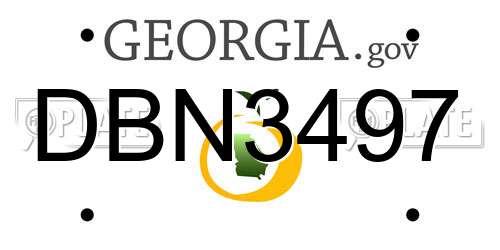 DBN3497 Georgia License Plate